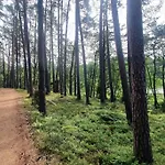 Villa Dom Na Zaciszu *