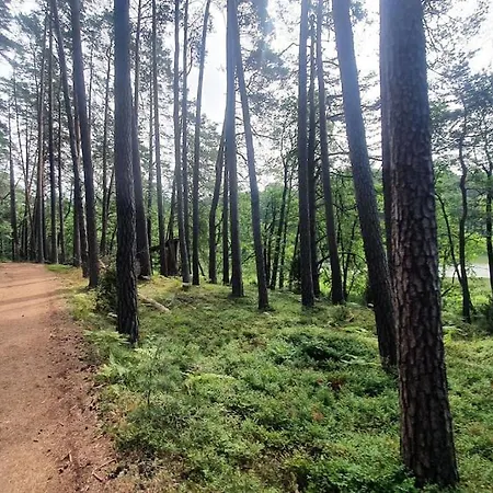 ヴィラ Dom Na Zaciszu *