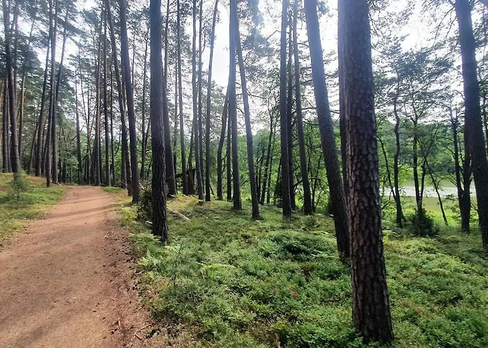 Willa Dom Na Zaciszu *